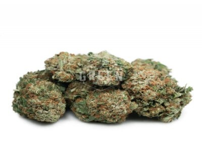 Buy Bubba Kush Online